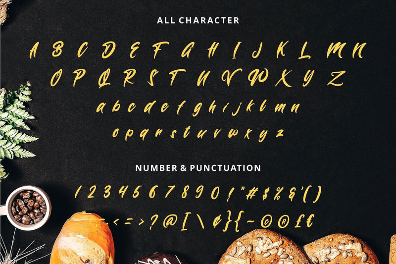 Wynter Sandy - Bold Script Font - So Fontsy
