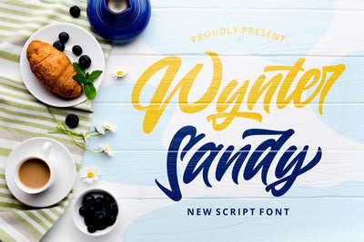 Wynter Sandy - Bold Script Font Font StringLabs 