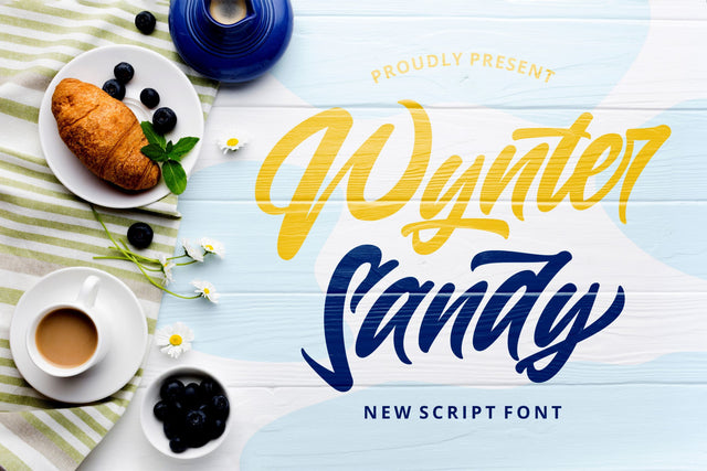 Wynter Sandy - Bold Script Font Font StringLabs 