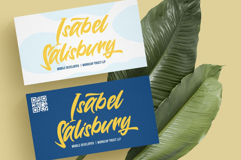 Wynter Sandy - Bold Script Font - So Fontsy