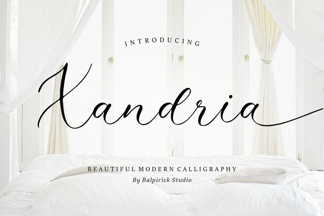 Xandria Beautiful Modern Calligraphy Font Font Balpirick 