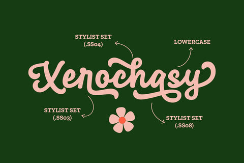 Xerochasy - a Bold Script Font Font nhfonts 