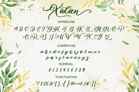 Xiolien Font Fallen Graphic Studio 