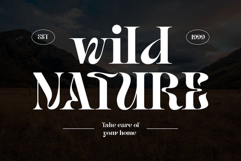 Yavome - Quirky Serif Font Arterfak Project 