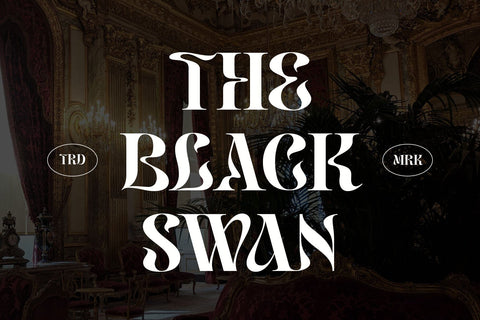 Yavome - Quirky Serif Font Arterfak Project 