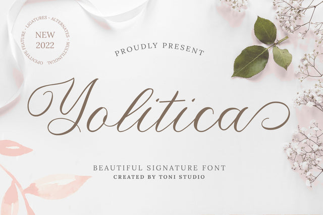 Yolitica |modern handwritten Font toni_std 
