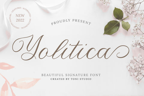 Yolitica |modern handwritten Font toni_std 