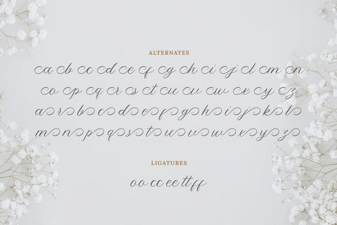 Yolitica |modern handwritten Font toni_std 