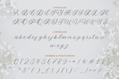 Yolitica |modern handwritten Font toni_std 