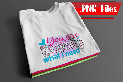 You are Exactly Sublimation PNG Files Sublimation zafrans studio 