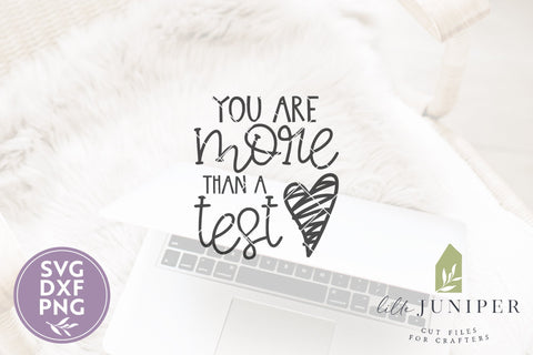 You Are More Than A Test SVG | Motivational Teacher SVG SVG LilleJuniper 