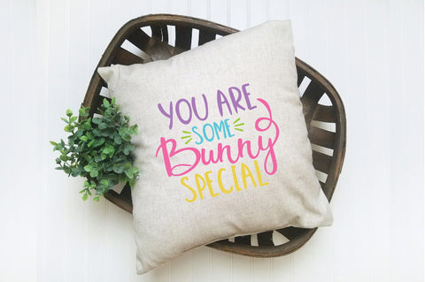 You Are Some Bunny Special SVG Cut File SVG Old Market 