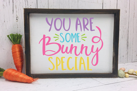 You Are Some Bunny Special SVG Cut File SVG Old Market 