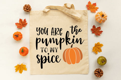 You are the pumpkin is my spice SVG SVG Regulrcrative 