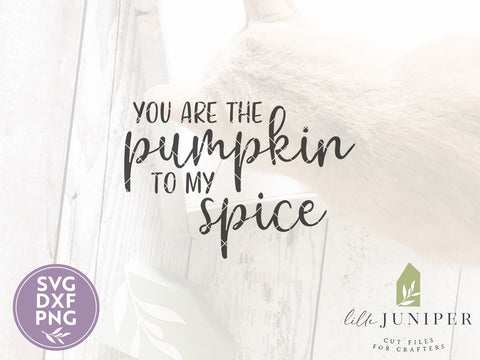 You Are the Pumpkin to My Spice SVG | Autumn SVG | Farmhouse Sign Design SVG LilleJuniper 