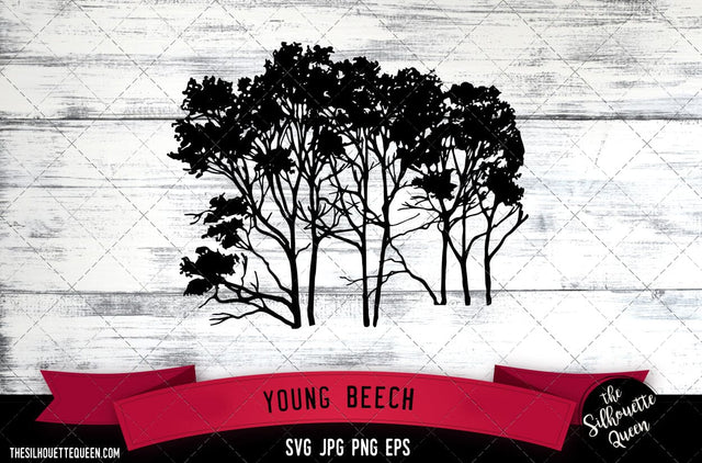 Young Beech SVG -Vector Art Commercial & Personal Use- Cricut,Silhouette,Cameo,Vinyl Cut SVG Loveleen Kaur 