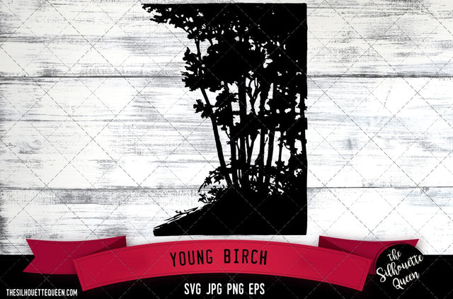 Young Birch 2 SVG -Vector Art Commercial & Personal Use- Cricut,Silhouette,Cameo,Vinyl Cut SVG Loveleen Kaur 