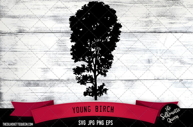 Young Birch 3 SVG -Vector Art Commercial & Personal Use- Cricut,Silhouette,Cameo,Vinyl Cut SVG Loveleen Kaur 