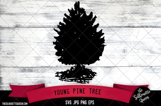 Young Pine Tree SVG -Vector Art Commercial & Personal Use- Cricut,Silhouette,Cameo,Vinyl Cut SVG Loveleen Kaur 