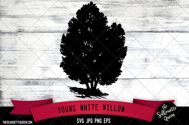 Young White Willow SVG -Vector Art Commercial & Personal Use- Cricut,Silhouette,Cameo,Vinyl Cut SVG Loveleen Kaur 