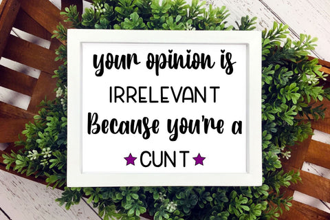 Your Opinion Is Irrelevant | Digital Design Cut File SVG August Sun Fire 