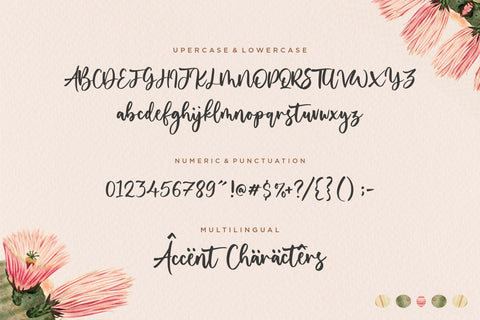 Yourladies Modern Handwritten Font Font Balpirick 