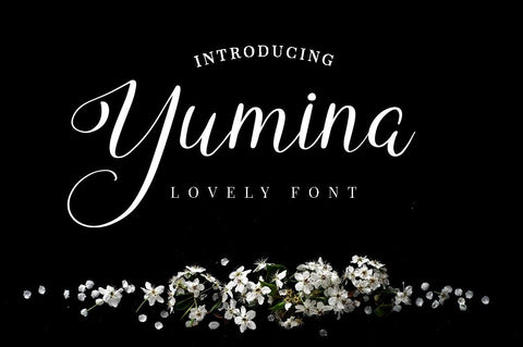Yumina Font Attype studio 