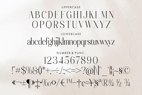 Zackerman Typeface Font Storytype Studio 