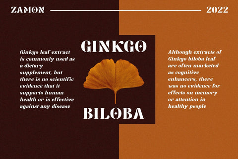 Zamon Modern File Font Javapep 