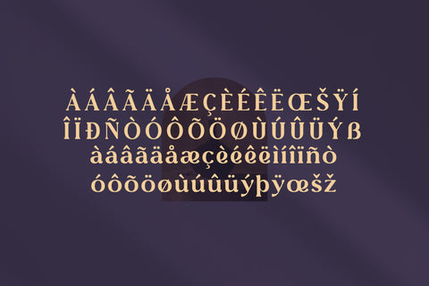 Zasline Typeface Font Storytype Studio 