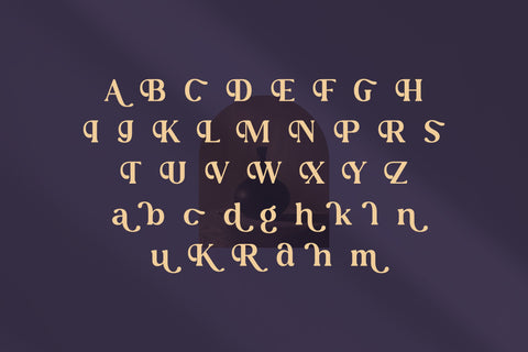 Zasline Typeface Font Storytype Studio 