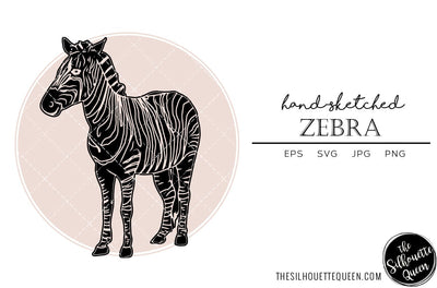 Zebra Sketch Vector SVG Loveleen Kaur 
